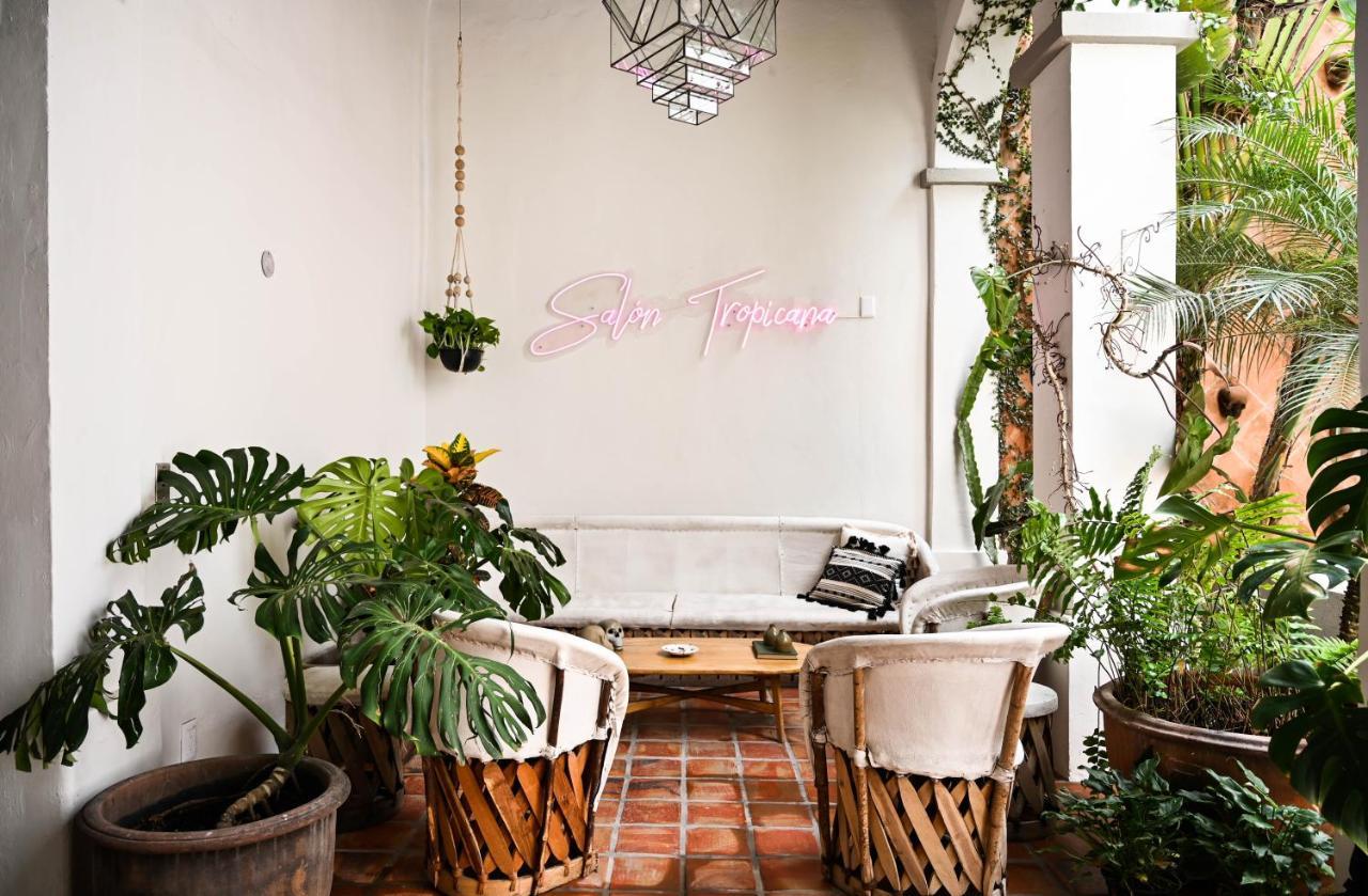 Casa Blanco By Barrio Mexico Hotel Guadalajara Kültér fotó